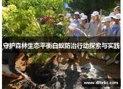 守护森林生态平衡白蚁防治行动探索与实践